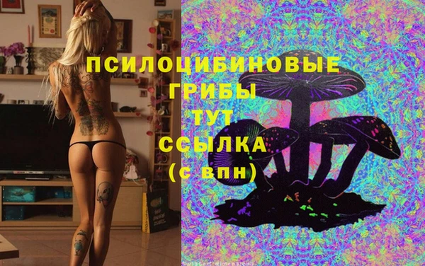 мдма Михайлов