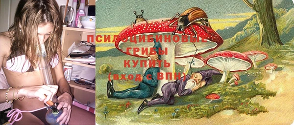 твердый Михайловка