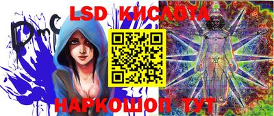 дживик Берёзовский