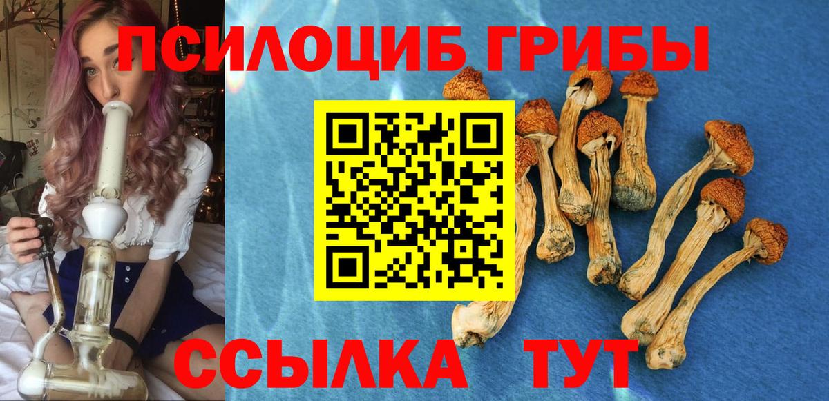 Галлюциногенные грибы Psilocybine cubensis Орск