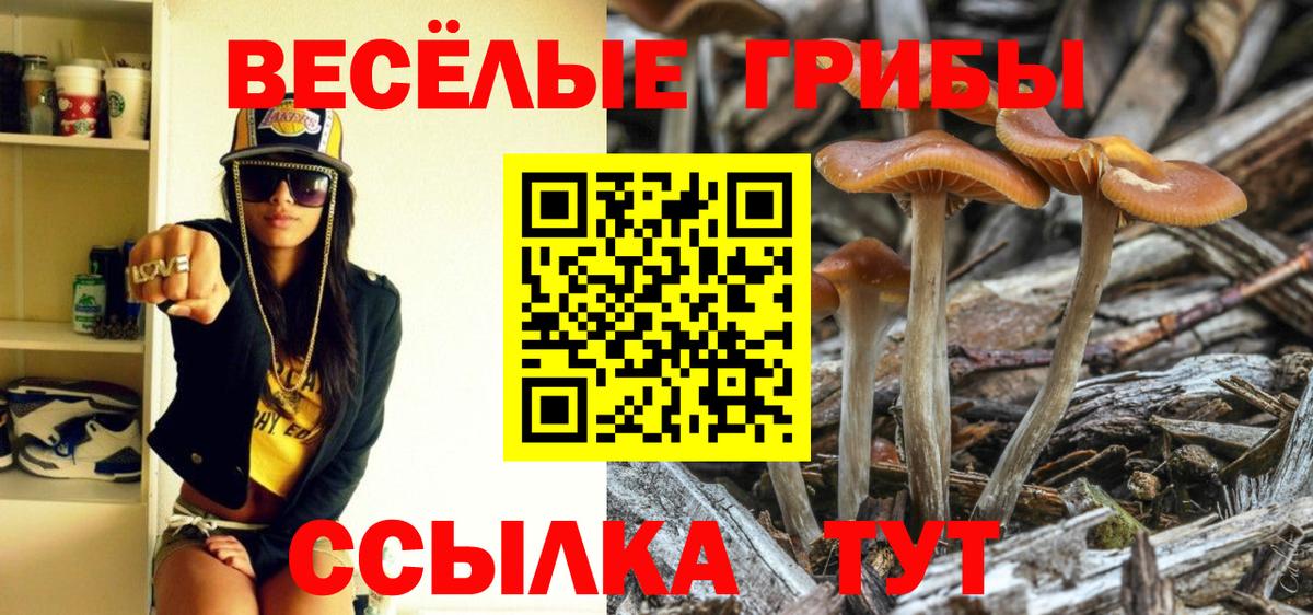 Галлюциногенные грибы мицелий  Орск  Галлюциногенные грибы мухоморы 