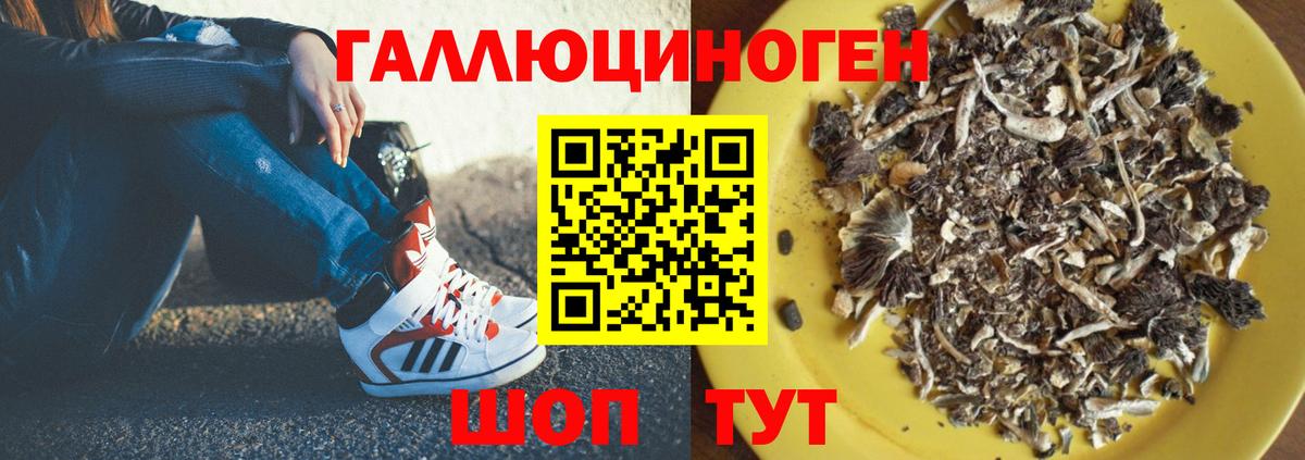 Орск  Марихуана  Кетыч  Меф  Гашик  Мяу-Мяу  Вход с VPN  МДМА 