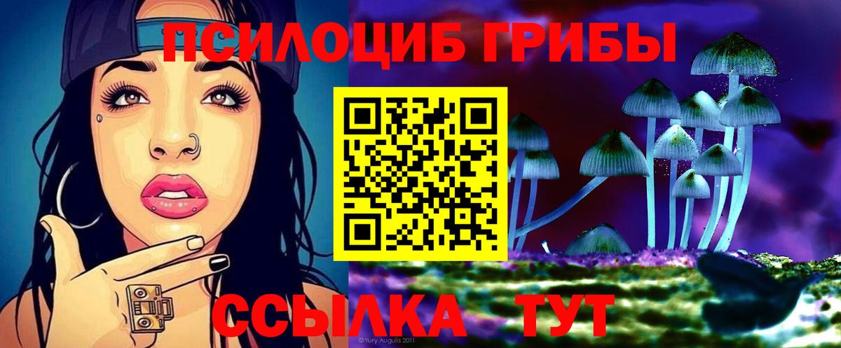 Орск  Галлюциногенные грибы Psilocybe  Галлюциногенные грибы Magic Shrooms  Вход с VPN 